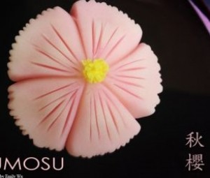 和菓子手作體驗- 秋櫻、月光菊