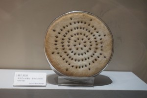 《百籽千尋》展世界之最  最大與最小種子齊聚科博館同框