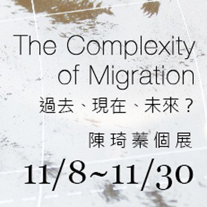 過去、現在、未來？　The Complexity of Migration