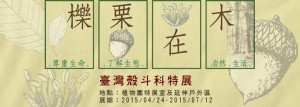【國立自然科學博物館】櫟栗在木－臺灣殼斗科特展