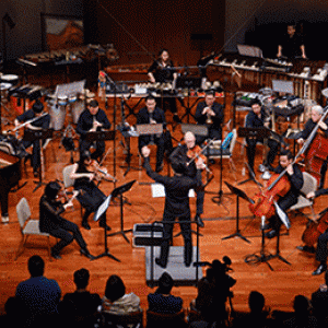 2019 衛武營-【TIFA-當代音樂平台】廖曉玲x香港創樂團《崢嶸之樂》 TIFA - Lin Liao X Hong Kong New Music Ensemble 'The sound of bloom’s epoch'