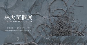 林天苗在台首次個展 Lin Tianmiao Solo Exhibition