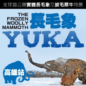 長毛象YUKA特展－全球首公開實體長毛象及披毛犀牛（高雄站）