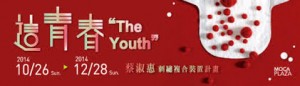  「這青春」─ 蔡淑惠刺繡複合裝置計畫  The Youth ─ An Embroidery Installation Project by TSAI Shuhui