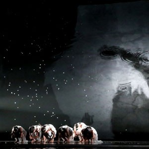 【每日藝聞】世紀當代舞團 X 萊比錫芭蕾舞團 跨國新作《狂放的野蝶》以奔馳的舞蝶重塑對臺灣的想像及追求的真實