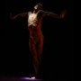 【每日藝聞】2017TIFA驫舞劇場蘇威嘉《自由步─身體的眾生相》從肢體核心出發 挑戰自我在創作上的極限